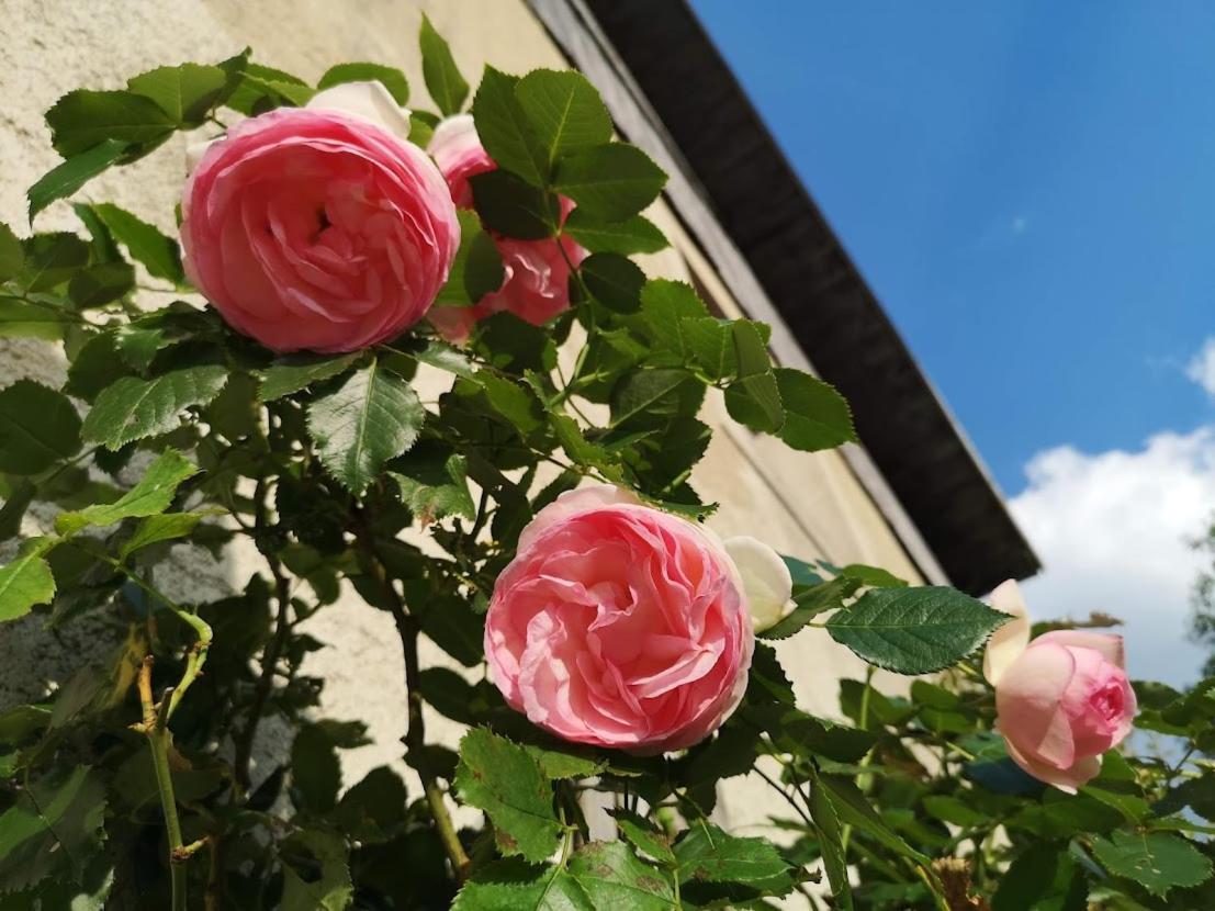 Maison Le Rozet Les Gras 外观 照片